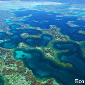 MASTER ABROLHOS SLIDESHOW 2018 594