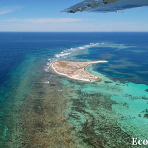 MASTER ABROLHOS SLIDESHOW 2018 595