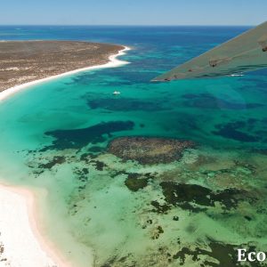 MASTER ABROLHOS SLIDESHOW 2018 596