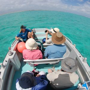 Exploring in the Eco Abrolhos Tenders