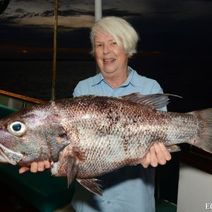 Dhufish caught at the Abrolhos Islands
