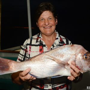 Snapper Caught at the Abrolhos Islands