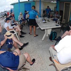 Eco Abrolhos Guests meet the locals at Basile Island