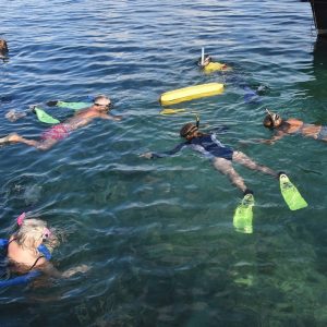 Snorkelling at the Abrolhos Islands