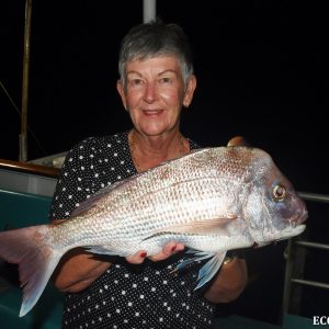 Snapper caught on the Eco Abrolhos at the Abrolhos Islands