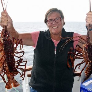 Crayfish caught at the Abrolhos Islands