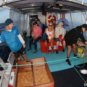 Pulling the pots at the Abrolhos Islands