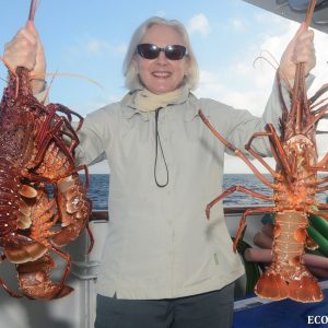 Crayfish on the Eco Abrolhos