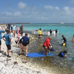 Easy water entry for snorkelling at the Abrolhos Islands