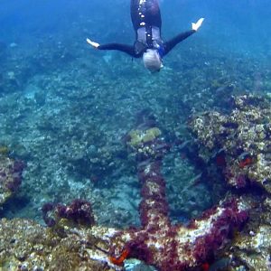 Anchor on the Wreck of the Batavia