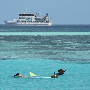 Snorkelling at the Abrolhos Islands