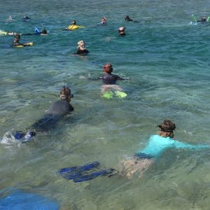 Snorkelling at the Squid Hole at the Abrolhos Islands