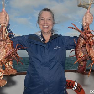 Crayfish at the Abrolhos Islands