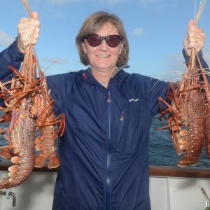 CRayfish from the Abrolhos Islands