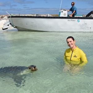 Friendly sea lion checking us out at the Abrolhos Islands
