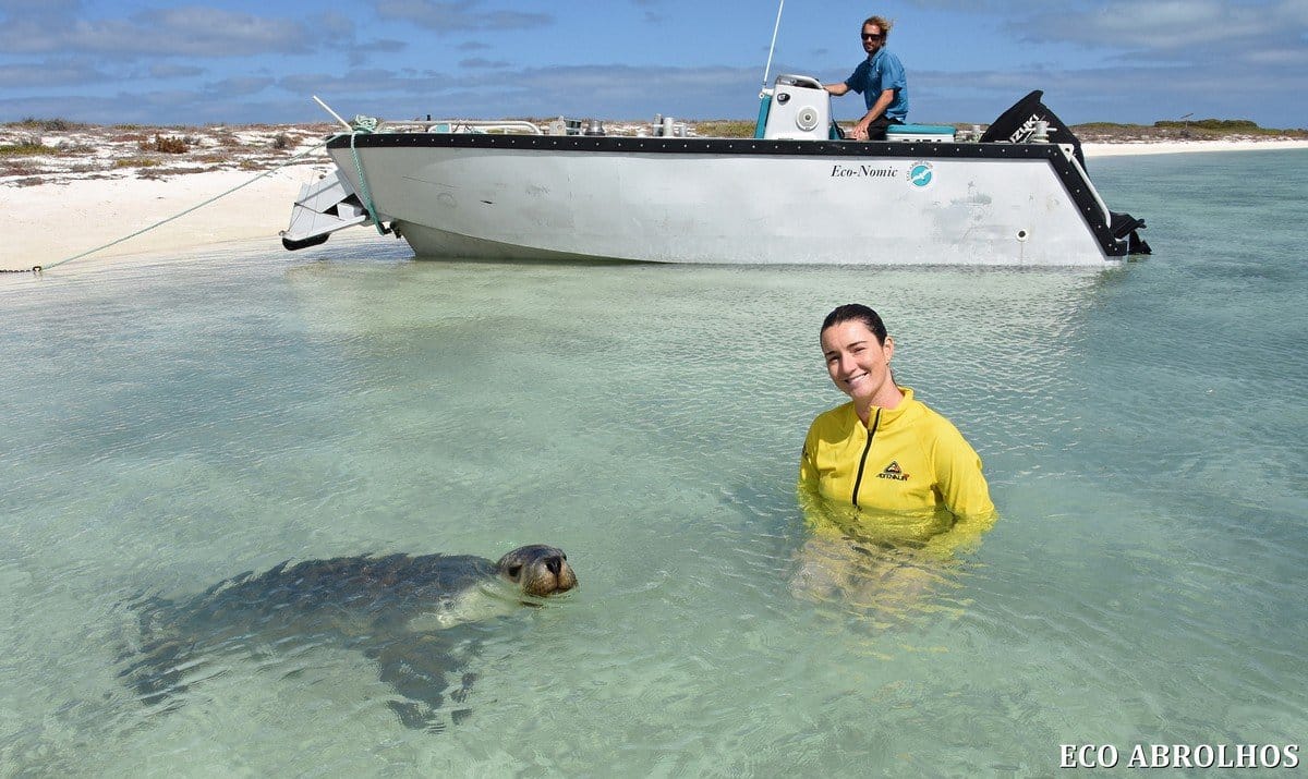 Friendly sea lion checking us out at the Abrolhos Islands