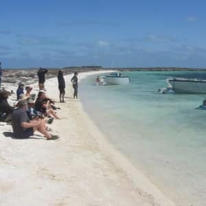 Eco ABrolhos Guests explore Morley Island