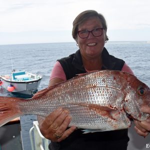 Snapper caught at the Abrolhos Islands