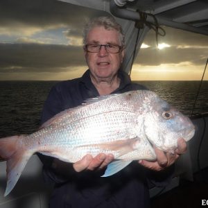 Early morning Snapper catch on the Eco ABrolhos at the Abrolhos Islands