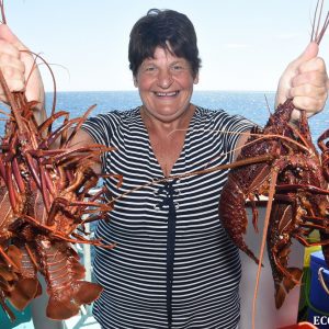 Crayfish caught at the Abrolhos Islands