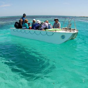 Glass Bottom boating at the Abrolhos Islands