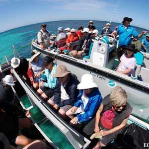 Tours at the Abrolhos Islands