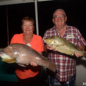 Fish caught in the Abrolhos Islands
