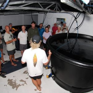 Abrolhos Islands Day 4 194