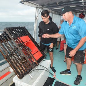 Craypot pulling at the Abrolhos Islands