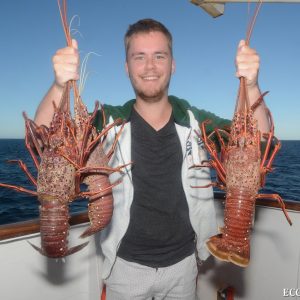 Crayfish at the Abrolhos Islands