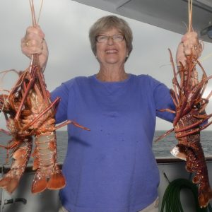 Crayfish caught at the Abrolhos Islands