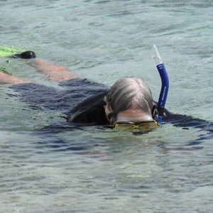 Snorkelling at the Abrolhos Islands