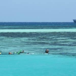 Snorkelling at the Abrolhos Islands