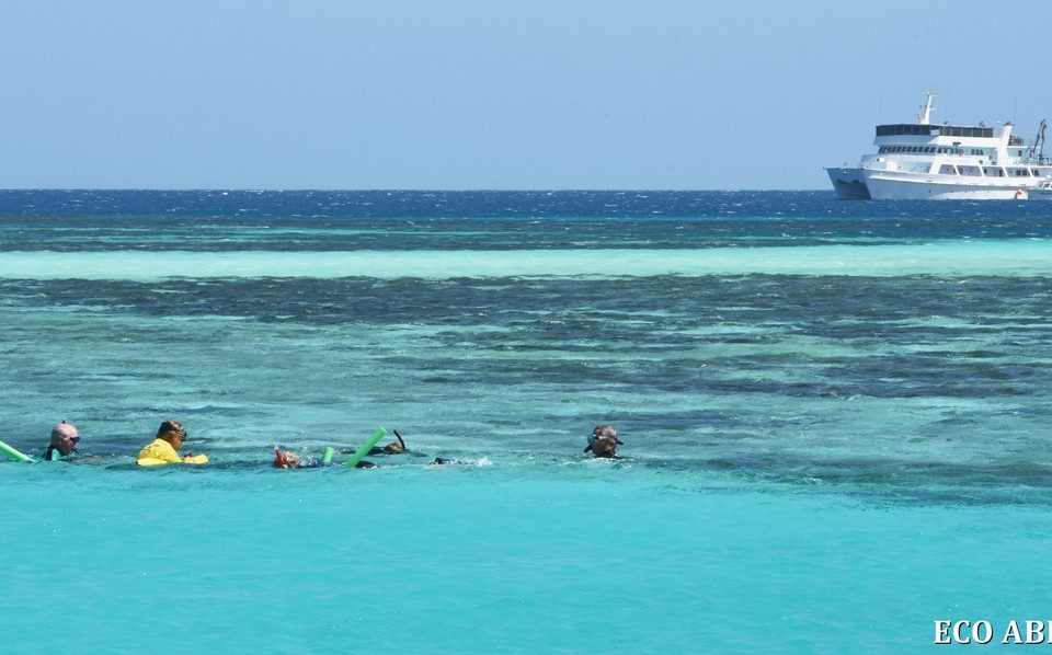Snorkelling at the Abrolhos Islands