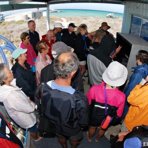 Latitude Pearl Hatchery at the Abrolhos Islands
