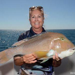 Bald Chin Grouper caught by Eco Abrolhos Guest
