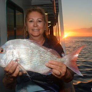 Snapper caught at the Abrolhos Islands