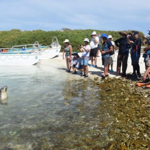 Guests watching a sea lion at the Abrolhos Islands