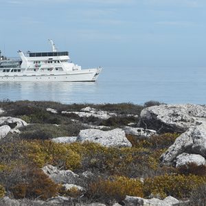 The Eco Abrolhos at the Abrolhos Islands