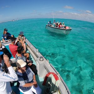 Day 1 Trip Report 2 1