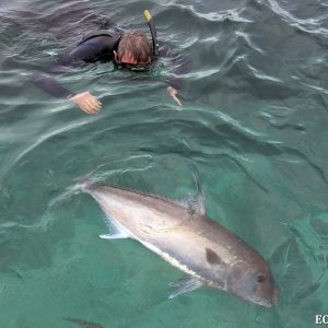 Day 1 Trip Report 9
