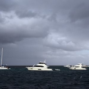Day 2 Trip Report 1 1