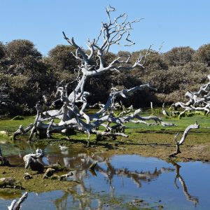 Day 2 Trip Report 11