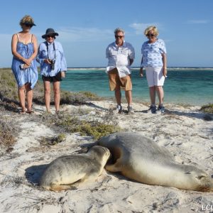 Day 2 Trip Report 15