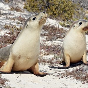 Day 2 Trip Report 5 1