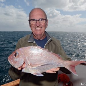 Day 2 Trip Report 9 1