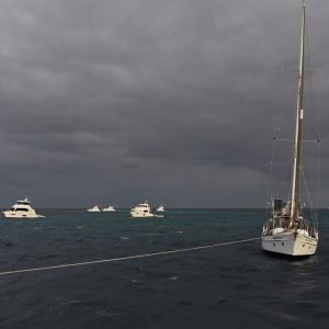 Day 3 Trip Report 1 1