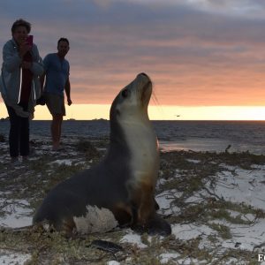 Day 3 Trip Report 16