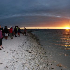 Day 3 Trip Report 18