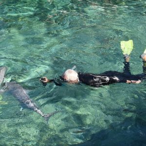 Day 3 Trip Report 8 1